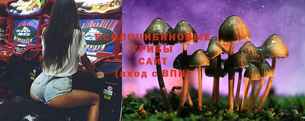 apvp Михайловка