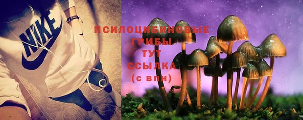 спайс Алзамай