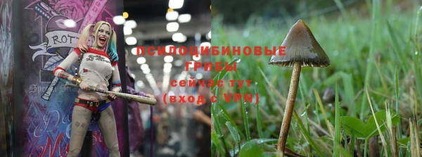 кокаин перу Михайлов
