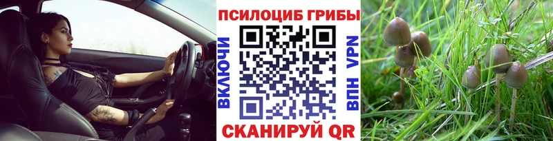 KRAKEN как зайти  Хвалынск  Галлюциногенные грибы MAGIC MUSHROOMS 
