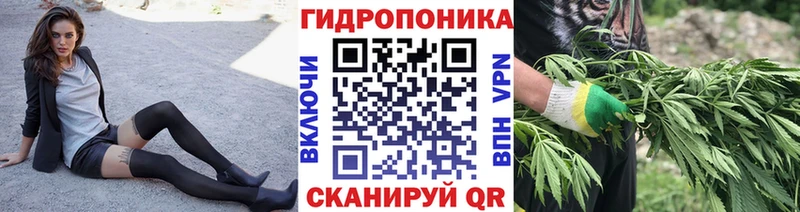 Каннабис план Хвалынск